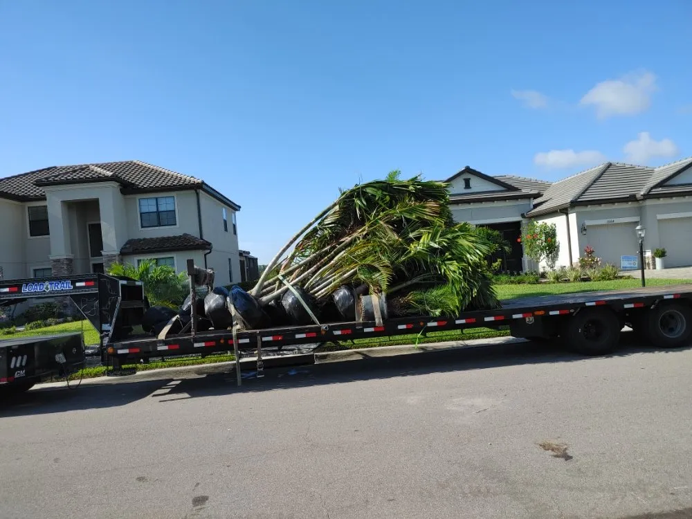 Reliable lawn care service experts serving St. Petersburg, FL - JRJ Landscaping