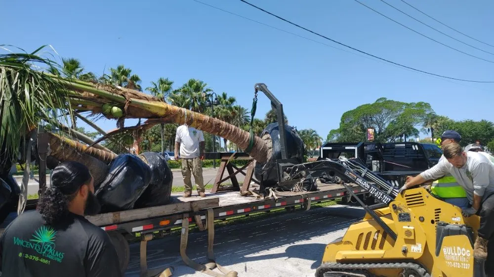 Top-rated residential landscaping in St. Petersburg, FL - JRJ Landscaping