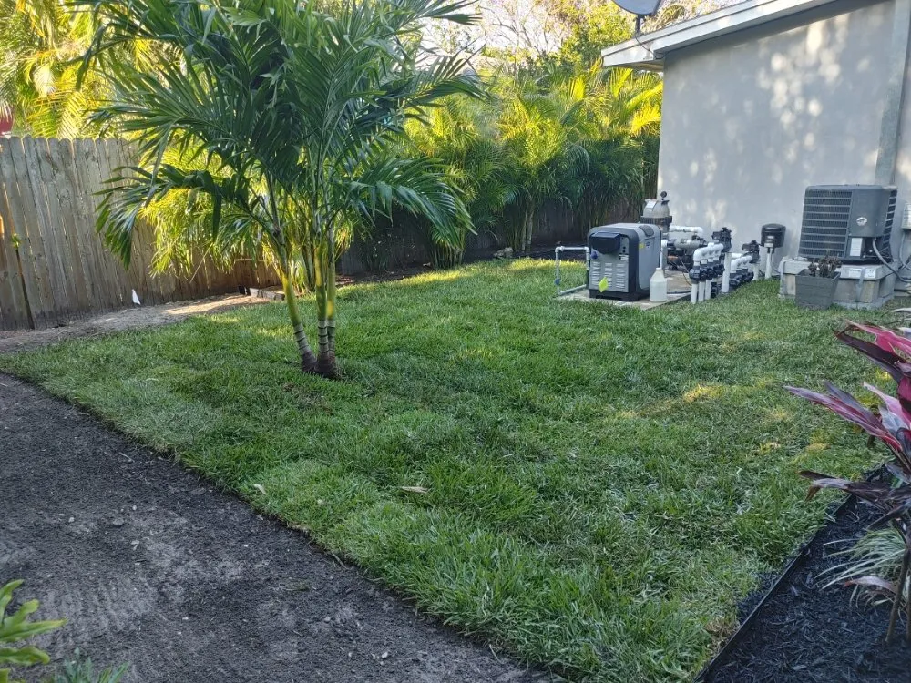 Local lawn care service in St. Petersburg, FL - JRJ Landscaping
