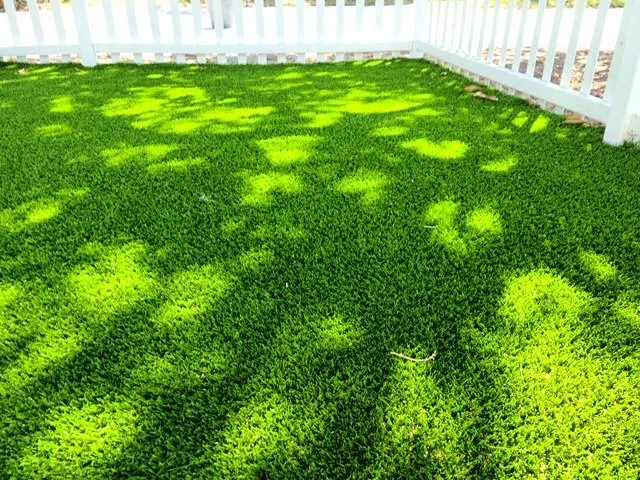 Trusted outdoor landscaping for outdoor upgrades across St. Petersburg, FL - JRJ Landscaping