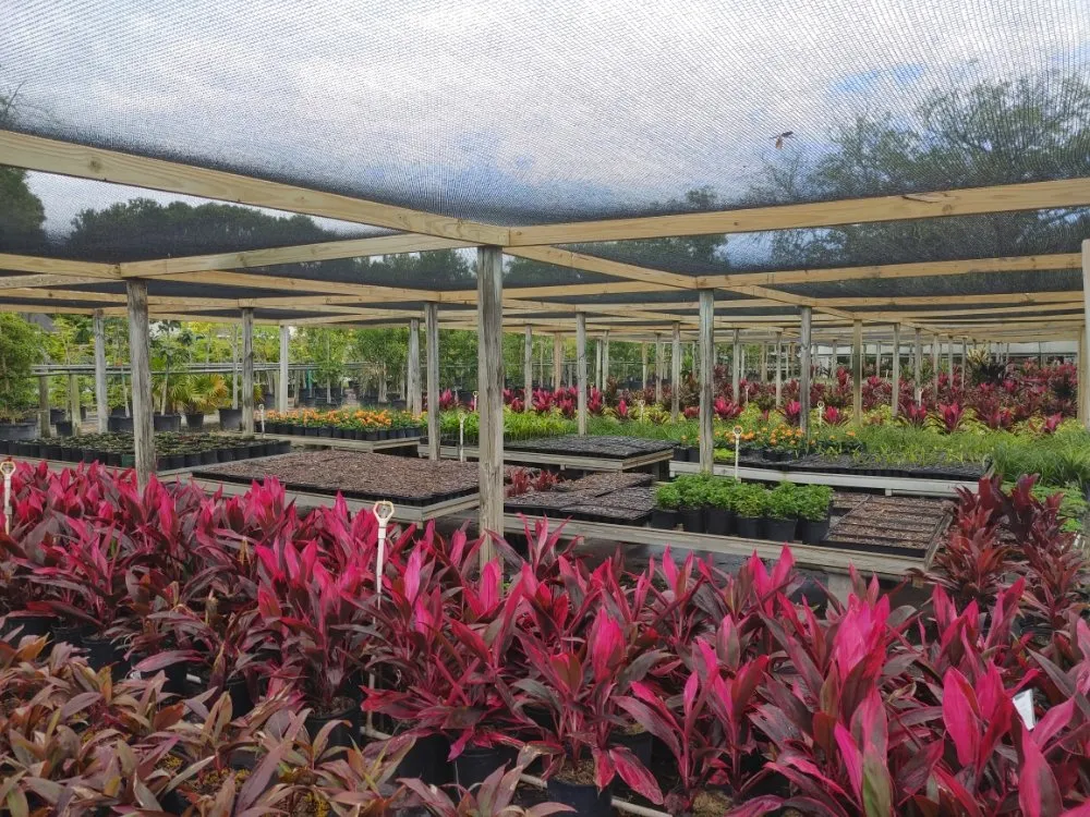 Custom landscaping services for year-round maintenance in St. Petersburg, FL by JRJ Landscaping