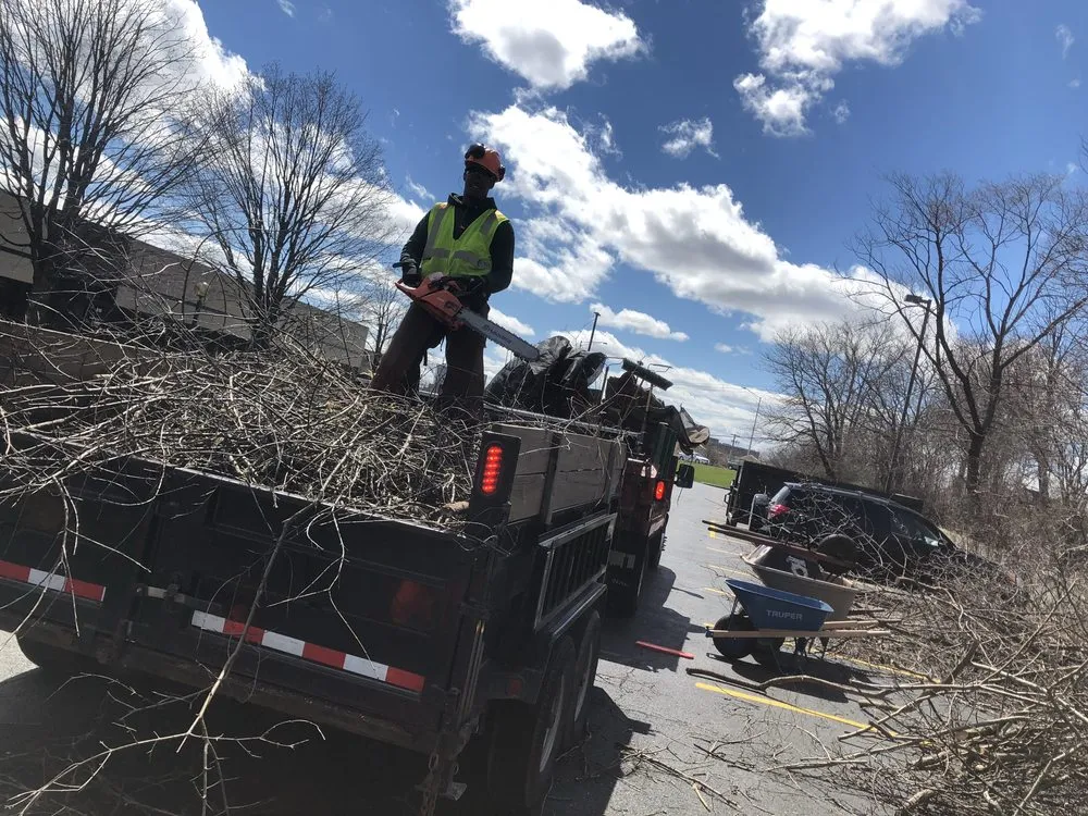 Affordable lawn care service near you in Forest Park, IL by Jrks Remodeling N Landscaping