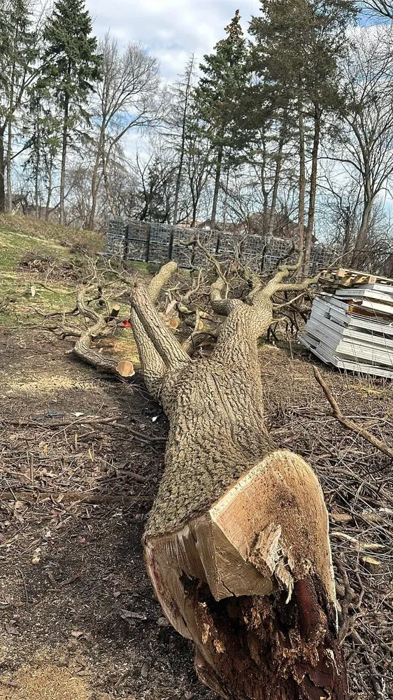 Trusted landscape design for homes in Forest Park, IL by Jrks Remodeling N Landscaping