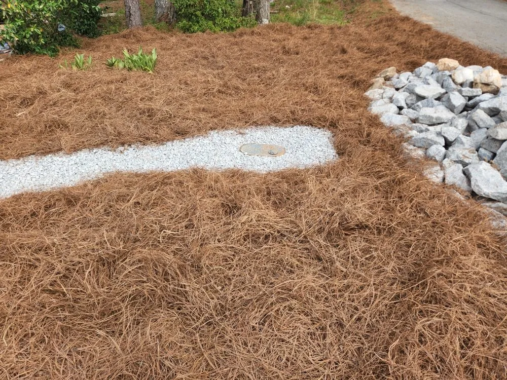 Expert residential landscaping in Augusta, GA by JRL Services