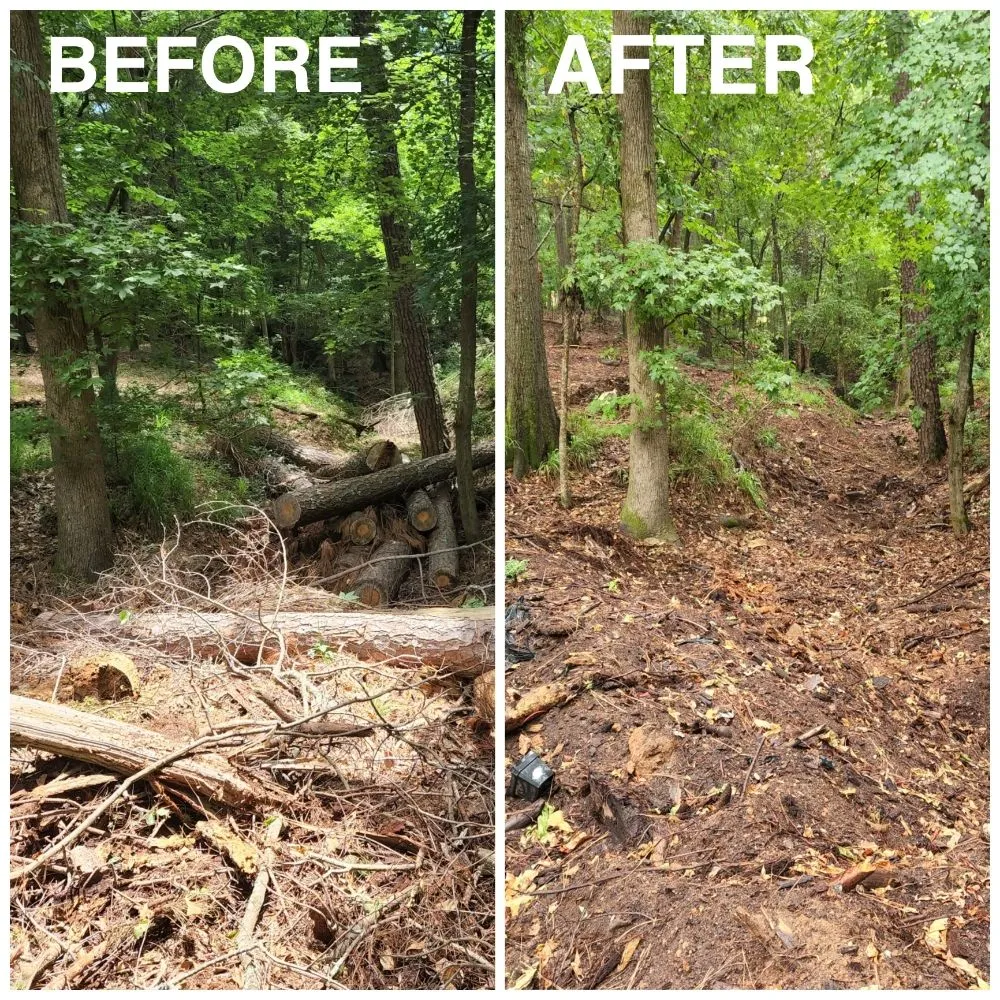 Trusted yard maintenance for residential properties across Augusta, GA - JRL Services