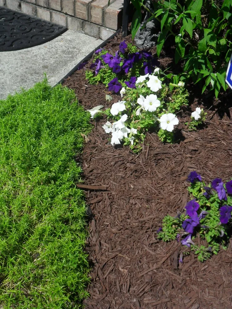 Professional yard maintenance in Chesapeake, VA - JRM Landscaping
