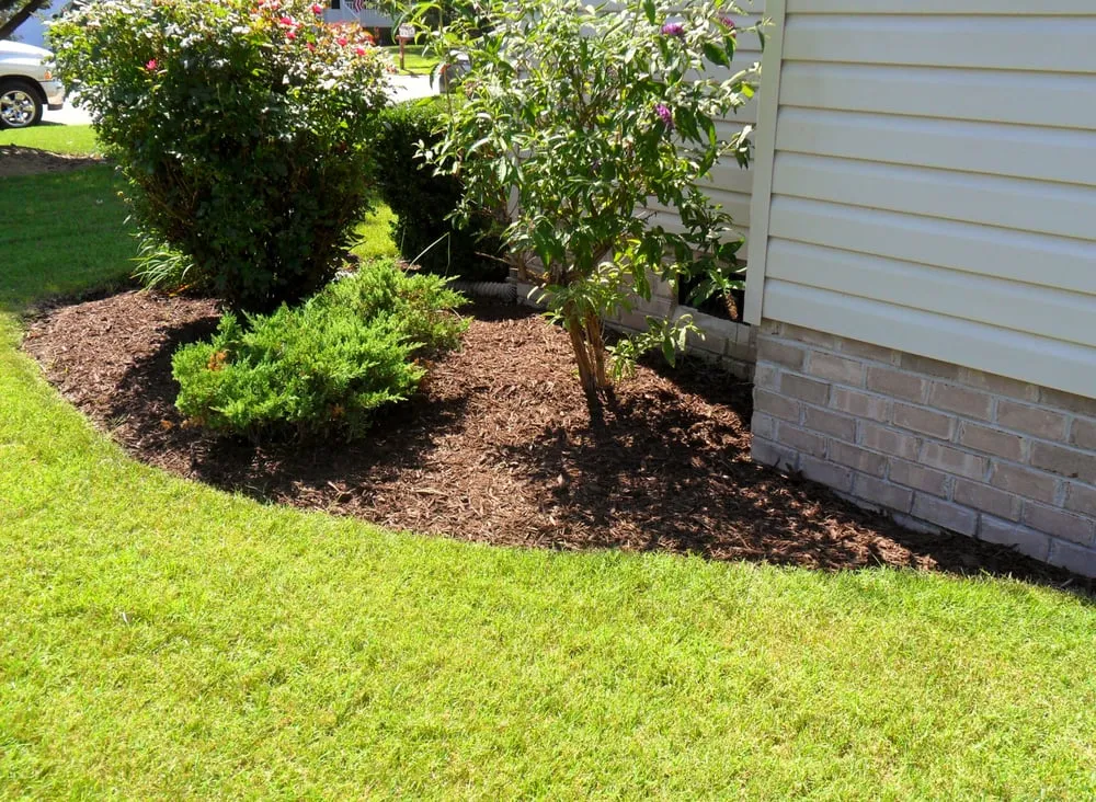 Expert yard cleanup service for beautiful yards in Chesapeake, VA by JRM Landscaping