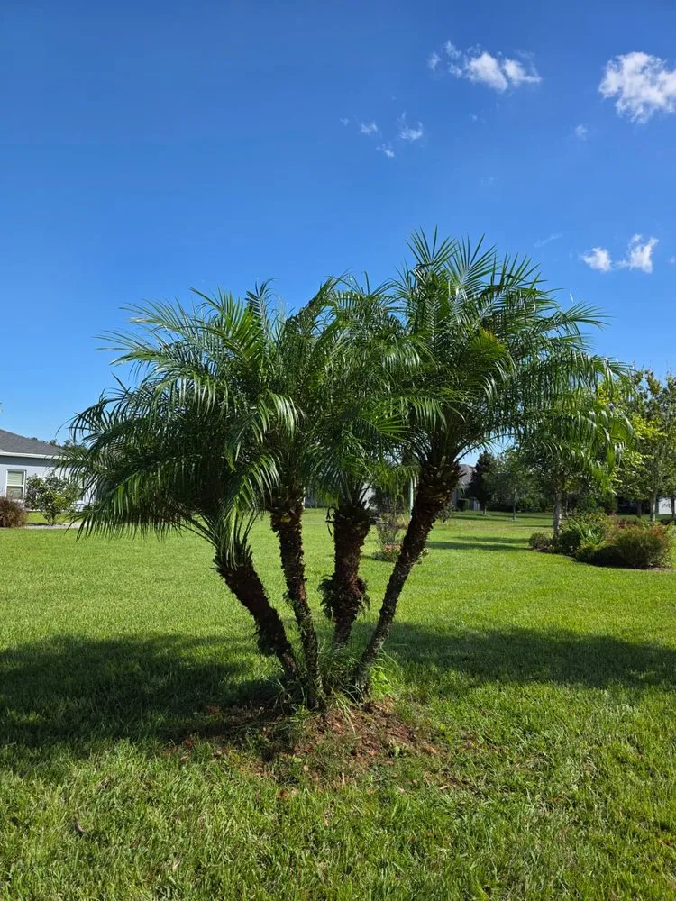 Local outdoor landscaping with custom design in Clermont, FL by JRod Lawn Care