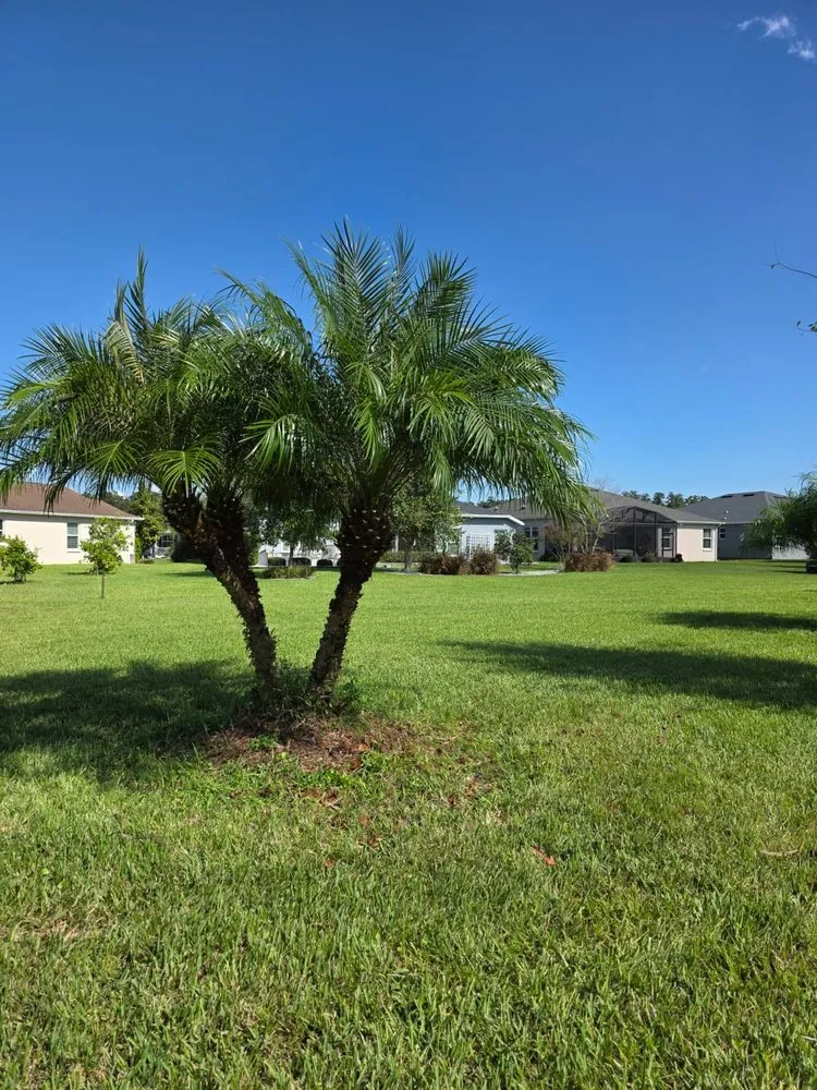 Local landscape design with custom design across Clermont, FL - JRod Lawn Care