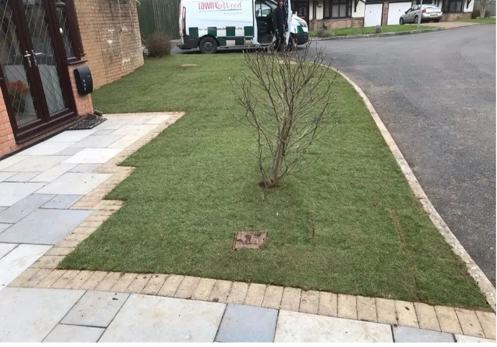 Expert yard maintenance in Kimberly, AL - JRods Market