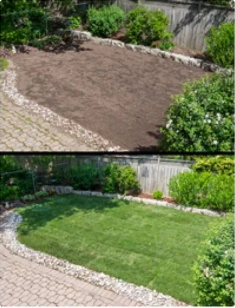 Professional lawn care service near you in Kimberly, AL by JRods Market