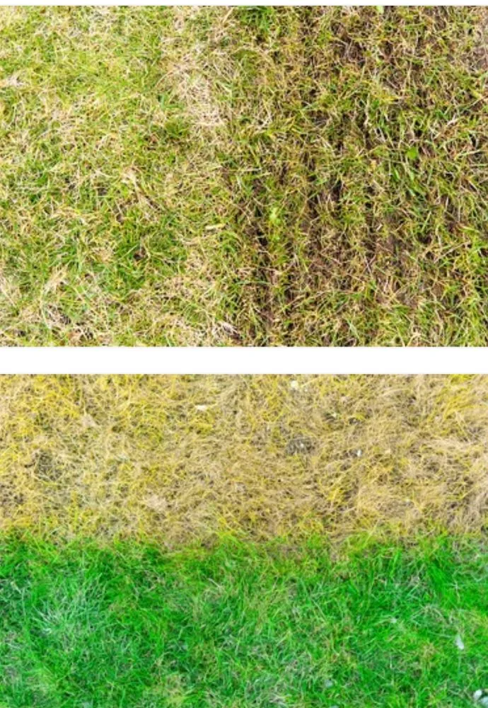 Trusted landscape design experts serving Kimberly, AL - JRods Market