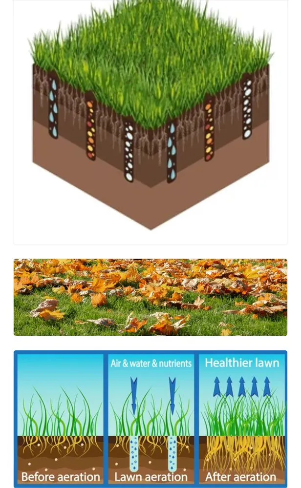 Expert landscape installation experts serving Kimberly, AL - JRods Market