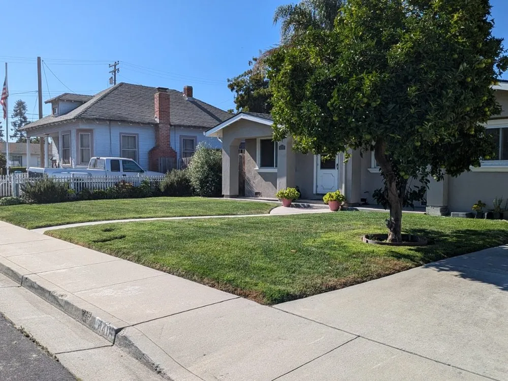 Affordable yard cleanup service experts serving Los Gatos, CA - JRP Landscaping