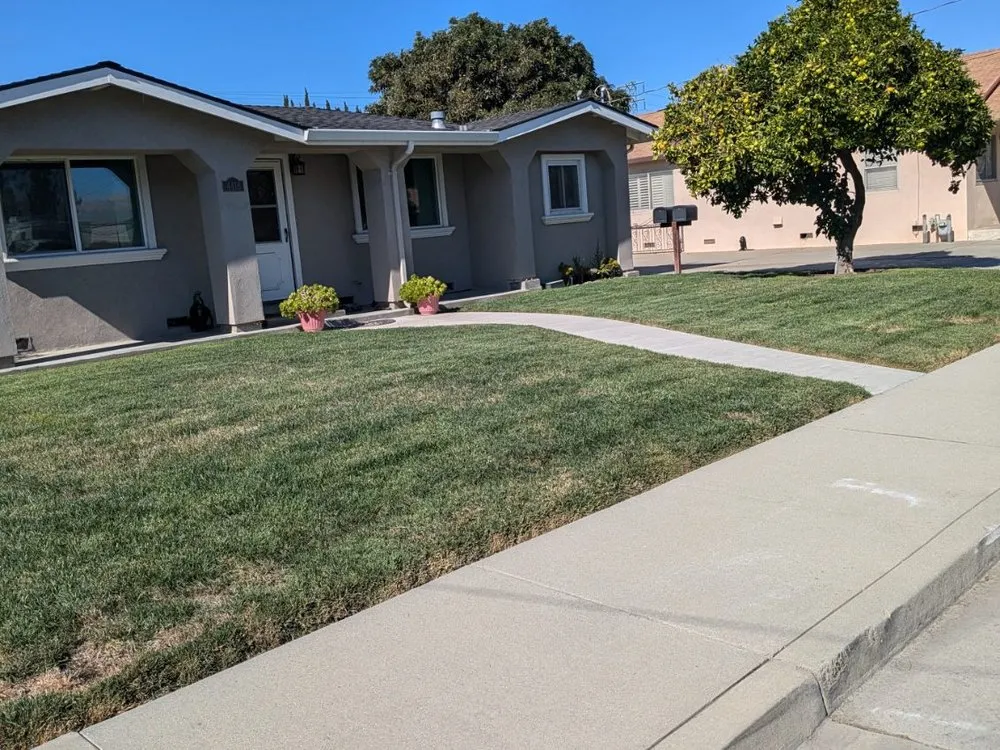 Top-rated landscape installation experts serving Los Gatos, CA - JRP Landscaping