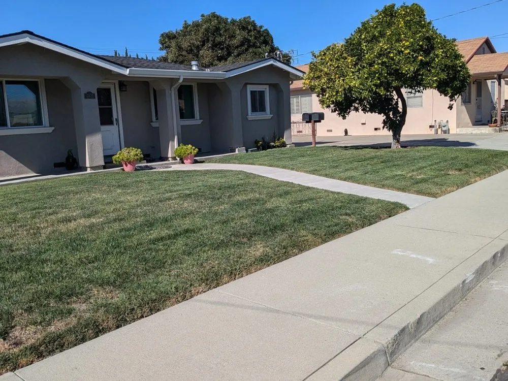 Trusted lawn mowing service with custom design in Los Gatos, CA by JRP Landscaping