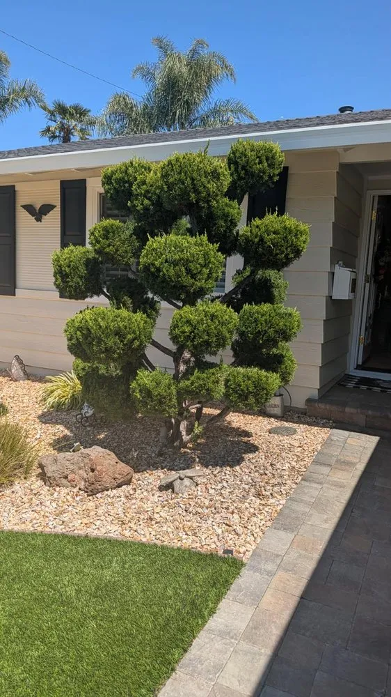 Custom landscape installation in Los Gatos, CA - JRP Landscaping