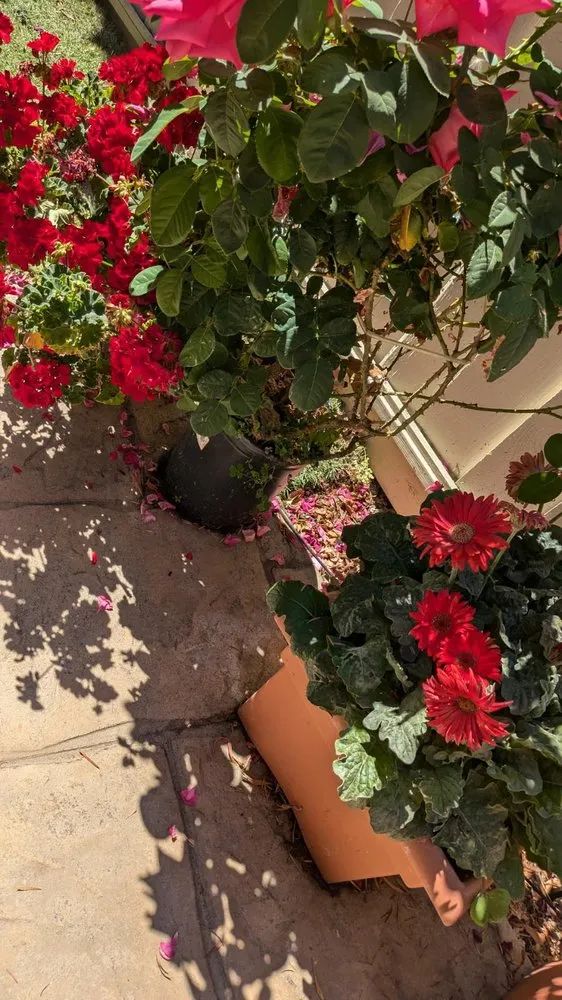 Affordable garden landscaping in Los Gatos, CA by JRP Landscaping