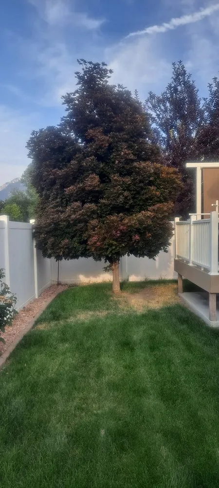 Custom outdoor landscaping with custom design in Salt Lake City, UT by JRP Siding & Paint
