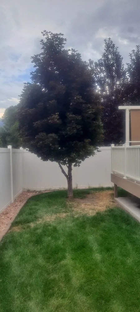 Professional landscape installation experts serving Salt Lake City, UT - JRP Siding & Paint