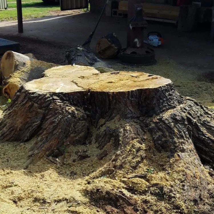 Local lawn mowing service experts serving Pampa, TX - JRP Trees and Landscaping