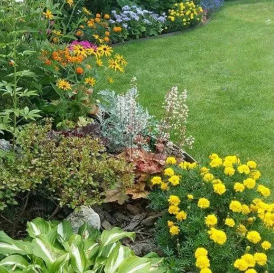 Reliable outdoor landscaping in Pampa, TX by JRP Trees and Landscaping