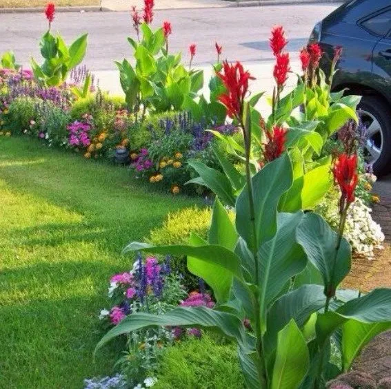 Custom outdoor landscaping in Pampa, TX - JRP Trees and Landscaping