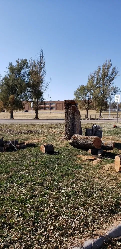 Professional yard cleanup service experts serving Pampa, TX - JRP Trees and Landscaping