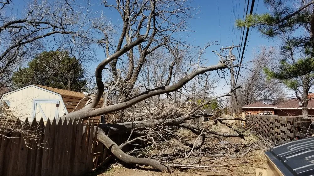 Expert yard cleanup service for beautiful yards in Pampa, TX by JRP Trees and Landscaping