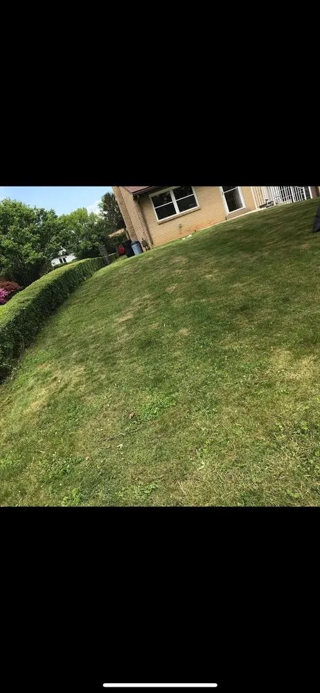 Expert yard cleanup service for year-round maintenance in Latrobe, PA by JR’s Cleanup And Services