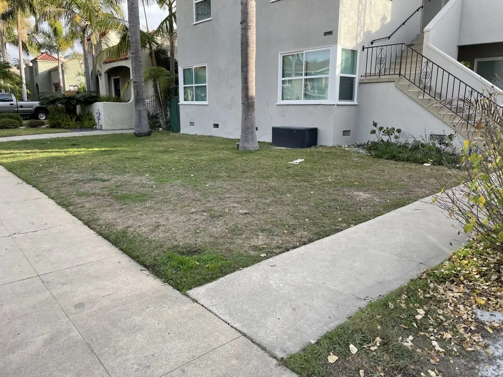 Trusted yard cleanup service experts serving Compton, CA - JRS Gardens