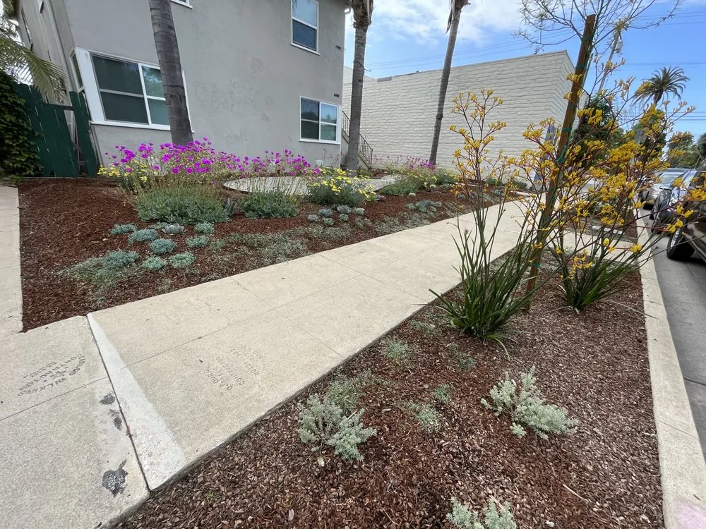 Reliable lawn care service in Compton, CA by JRS Gardens