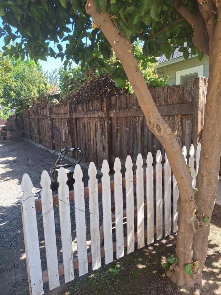 Professional outdoor landscaping for residential properties across Fresno, CA - Jr's Junk Removal & Lawn Service