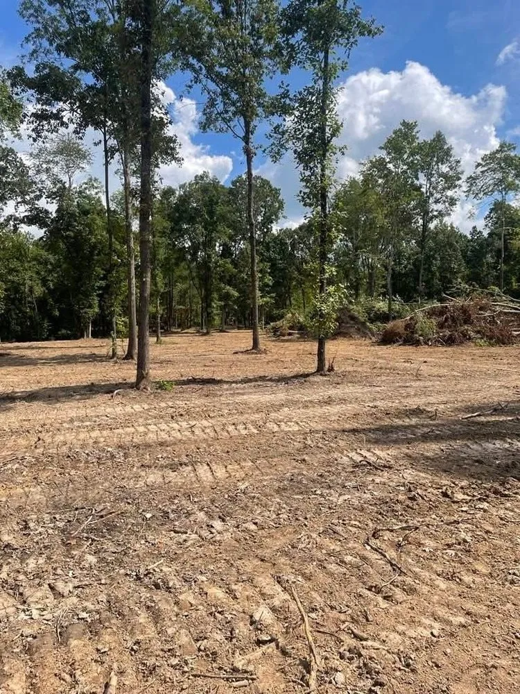 Professional landscaping services in Arlington, TN - JR’s Land Management