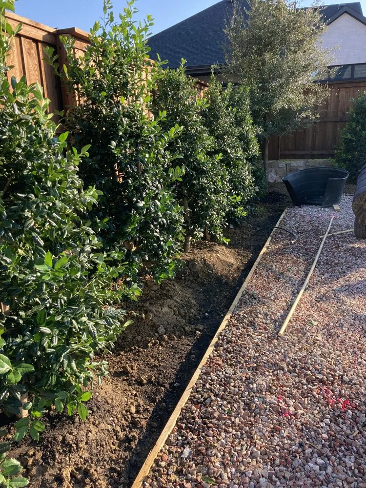 Top-rated yard maintenance in Dallas, TX - JR’s Landscape