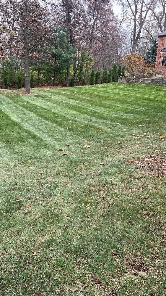 Reliable yard maintenance for outdoor upgrades in Rockford, IL by JRS Landscaping & Lawncare