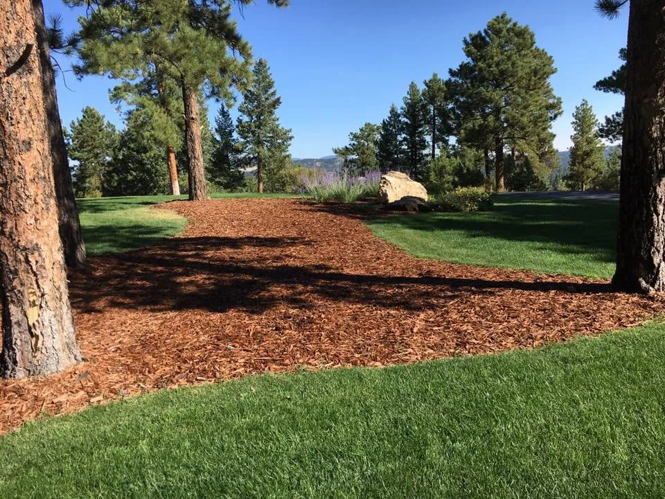Professional residential landscaping for outdoor upgrades in Evergreen, CO by JR's Landscaping & Property Maintenance
