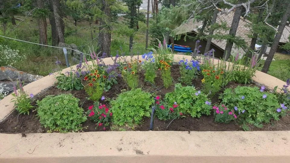 Top-rated lawn mowing service in Evergreen, CO - JR's Landscaping & Property Maintenance