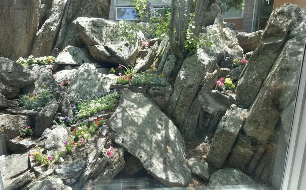 Expert garden landscaping for year-round maintenance in Evergreen, CO by JR's Landscaping & Property Maintenance