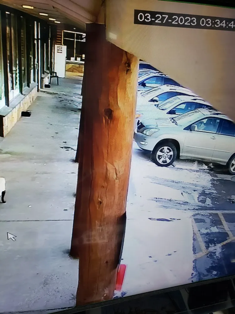 Top-rated lawn care service experts serving Evergreen, CO - JR's Landscaping & Property Maintenance