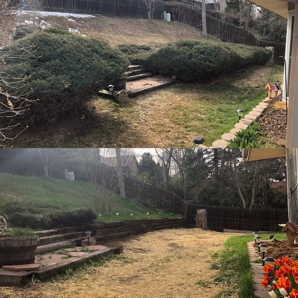 Reliable residential landscaping for homes in Evergreen, CO by JR's Landscaping & Property Maintenance