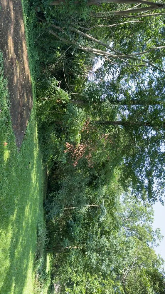 Custom residential landscaping in Ackerman, MS - JR’s Landscaping