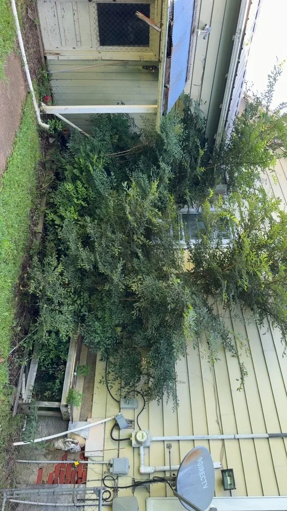 Professional lawn mowing service in Ackerman, MS - JR’s Landscaping