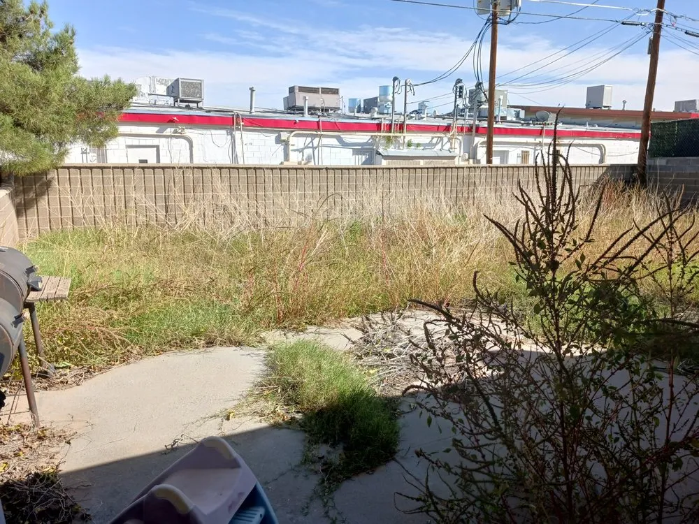 Expert lawn mowing service experts serving El Paso, TX - Jr's landscaping and maintenance