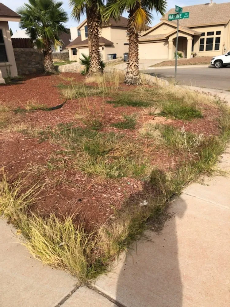 Top-rated landscape design in El Paso, TX by Jr's landscaping and maintenance