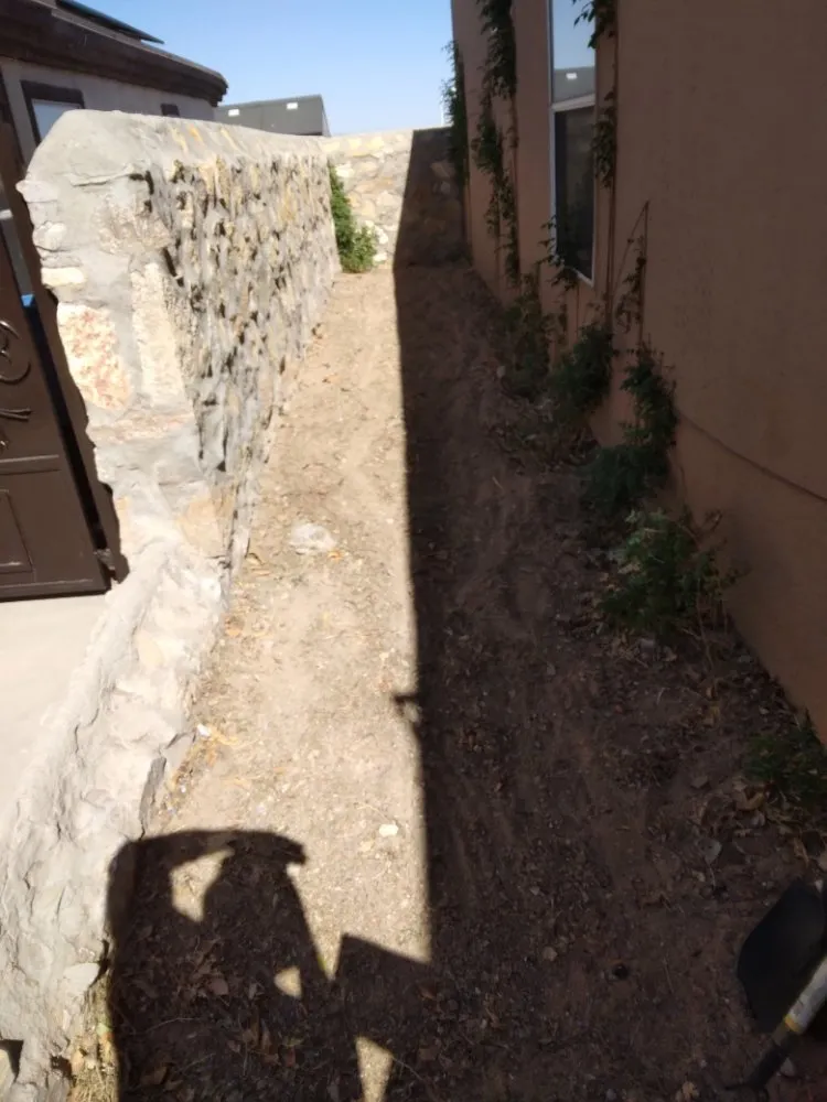 Professional yard cleanup service near you in El Paso, TX by Jr's landscaping and maintenance