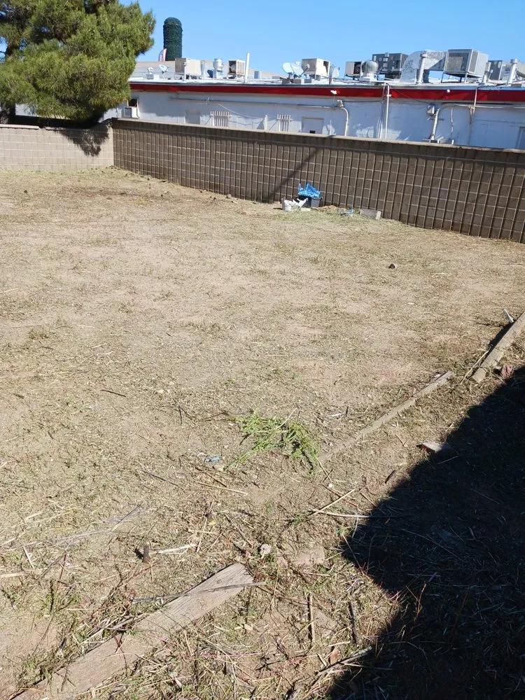 Affordable lawn mowing service in El Paso, TX by Jr's landscaping and maintenance