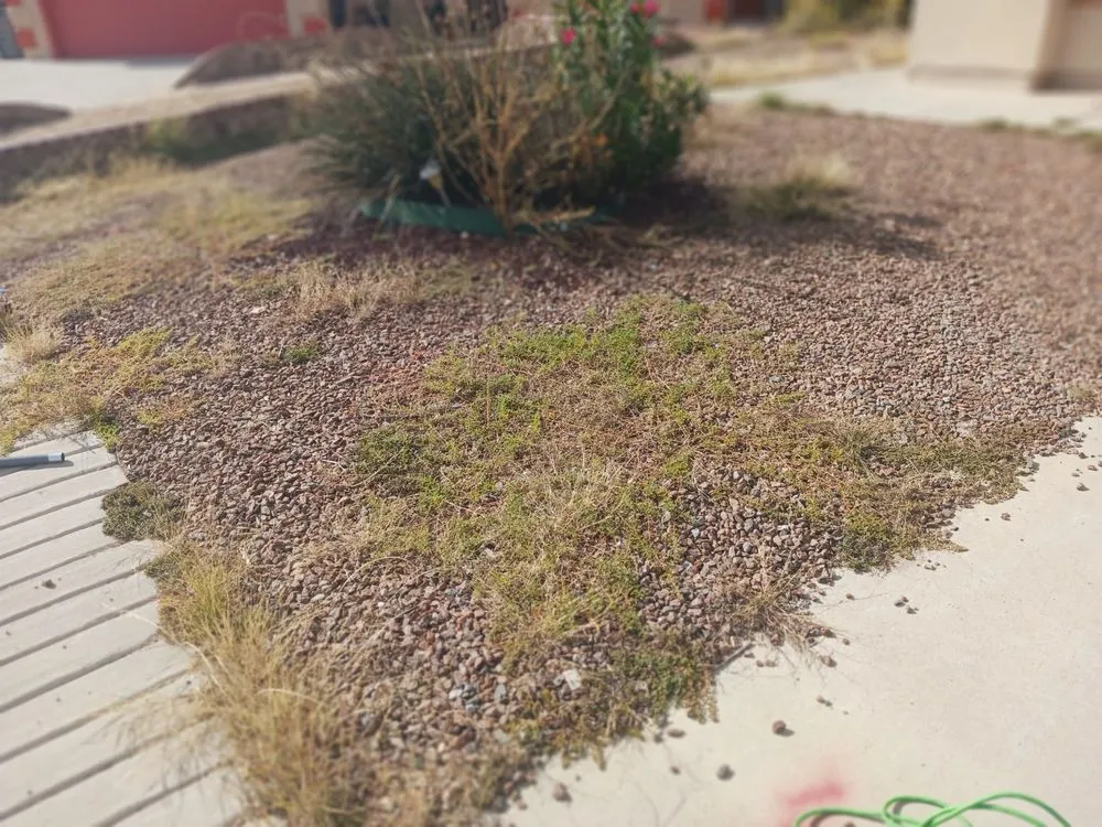 Trusted residential landscaping in El Paso, TX - Jr's landscaping and maintenance