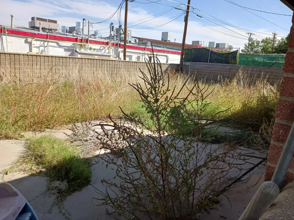 Affordable residential landscaping experts serving El Paso, TX - Jr's landscaping and maintenance