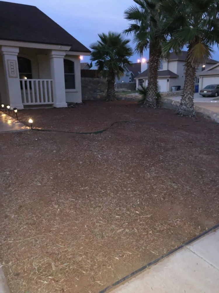 Reliable lawn mowing service in El Paso, TX by Jr's landscaping and maintenance